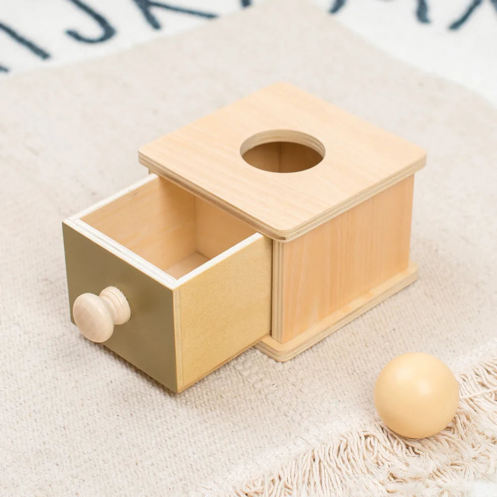 Montessori Wooden Baby Toy – Coin, Ball, Drum, Color & Shape Cognition, Educational Sensory Gift.